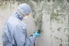 Best Air Quality Testing for Mold Spores in USA